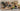 Nvidia Studio